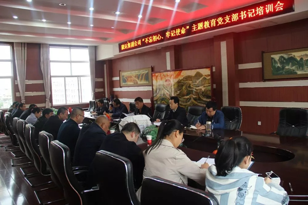 隴運集團公司召開“不忘初心、牢記使命”主題教育黨支部書記培訓(xùn)會