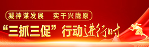 三抓三促